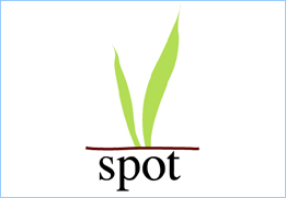 Logo for The V Spot